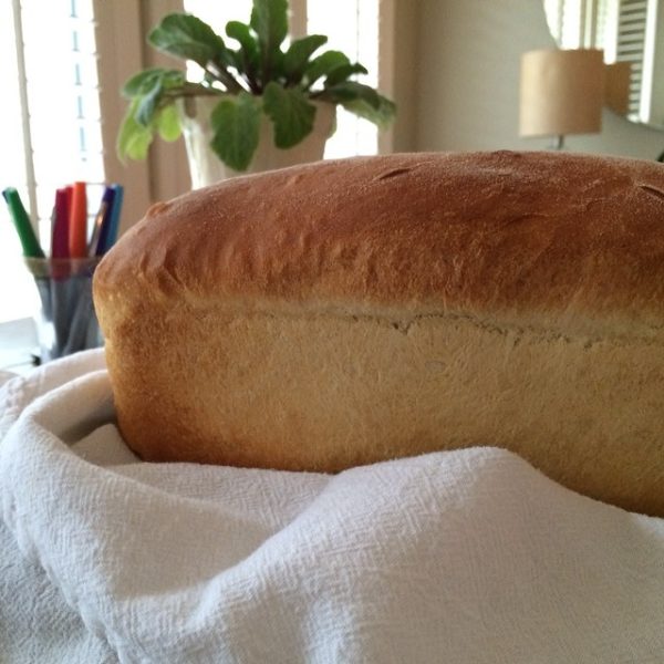 amish bread susie davis